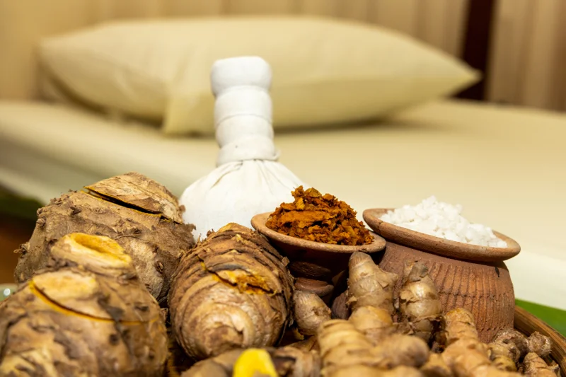 How Does Herbal Therapy Complement Other Therapies?