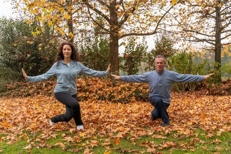 What an Ideal Daily Tai Chi Practice Routine Looks Like