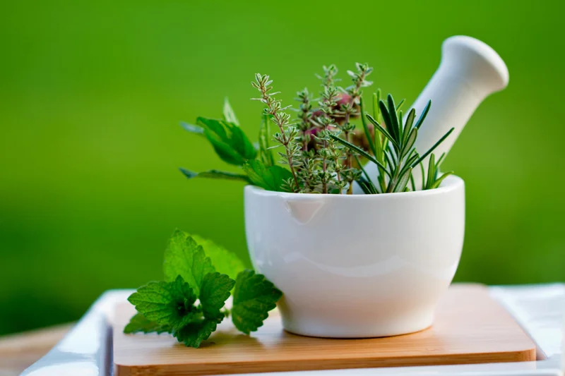 What are The Top 10 Herbal Medicines