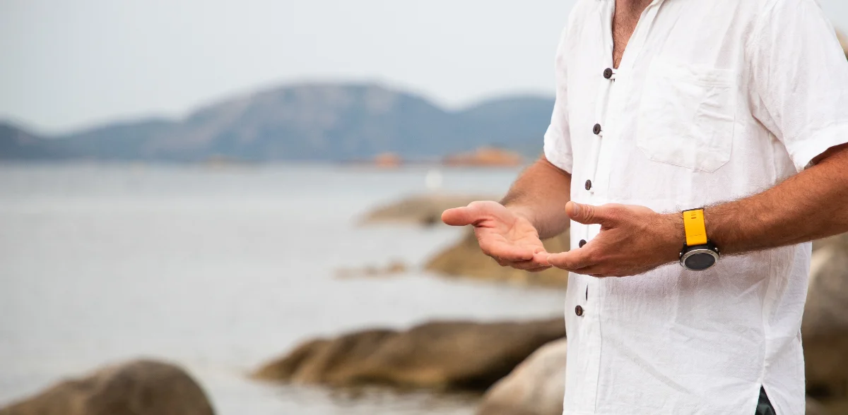 What Is Qi (Chi) and How Do You Cultivate It in Tai Chi?