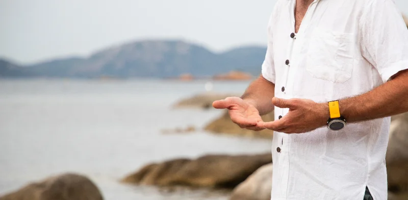 What Is Qi (Chi) and How Do You Cultivate It in Tai Chi?